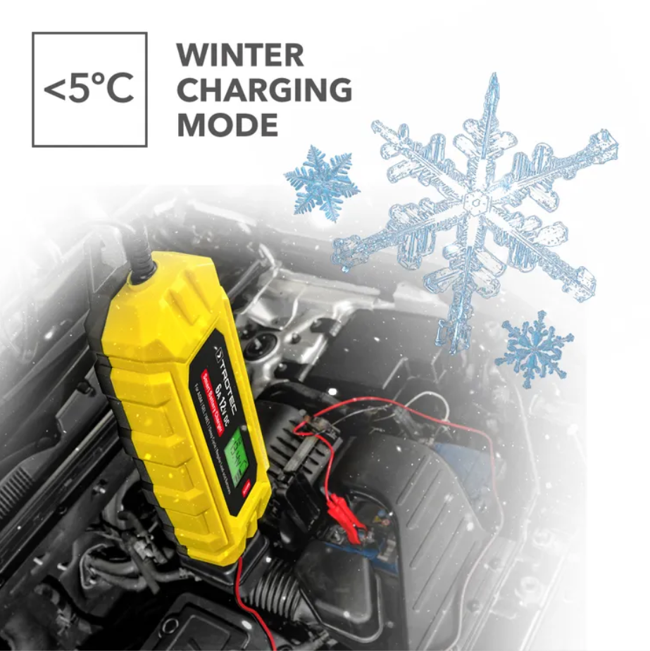 Akumuliatoriaus pakrovėjas Trotec PBCS 6A su LCD ekranu