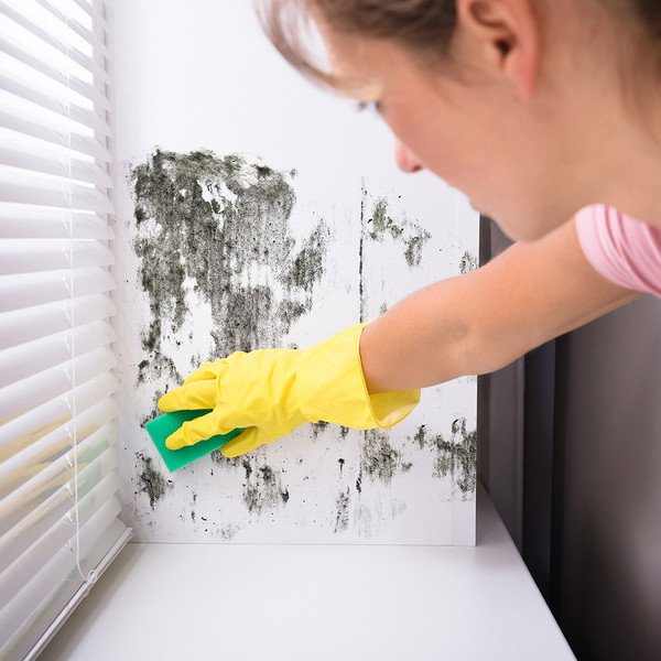 Meteorologinė stotelė Trotec BZ 07