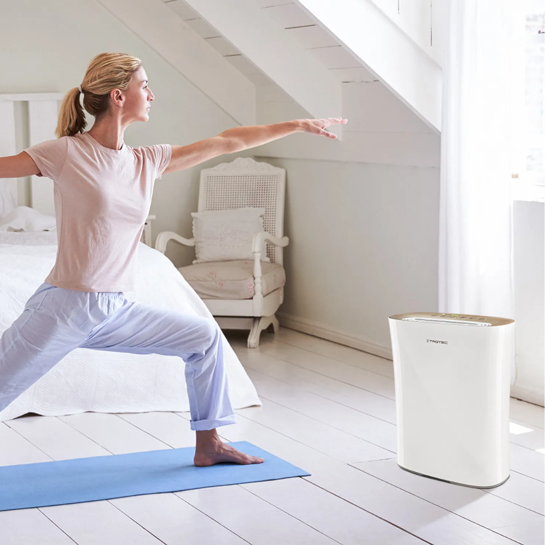 Oro valytuvas Trotec AirgoClean 110 E
