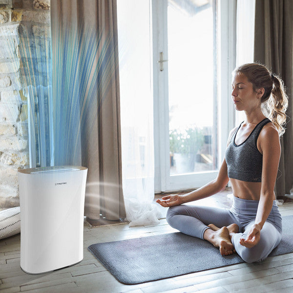 Oro valytuvas Trotec AirgoClean 110 E