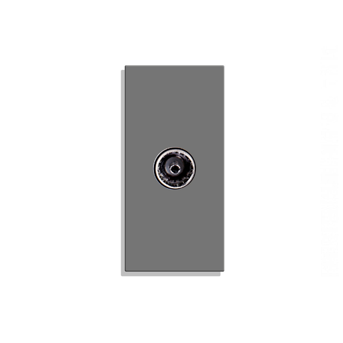 TV lizdas pilkas FSTV05G