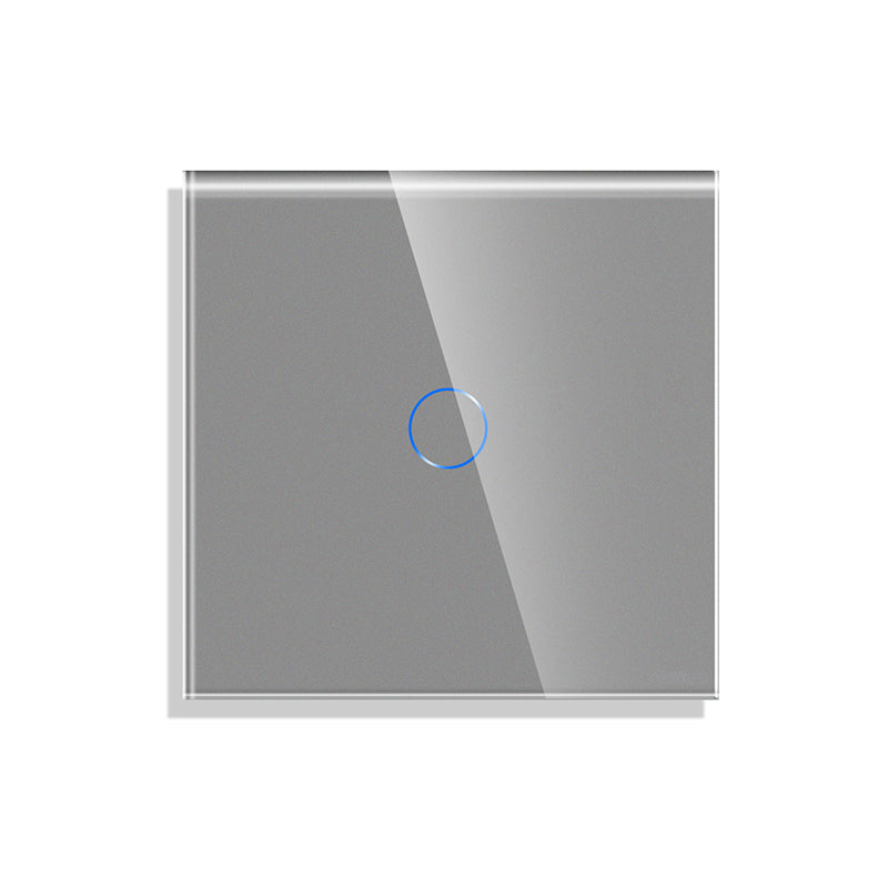 Vienpolis sensorinis jungiklio dangtelis pilkas mažas (FSSDM1G)